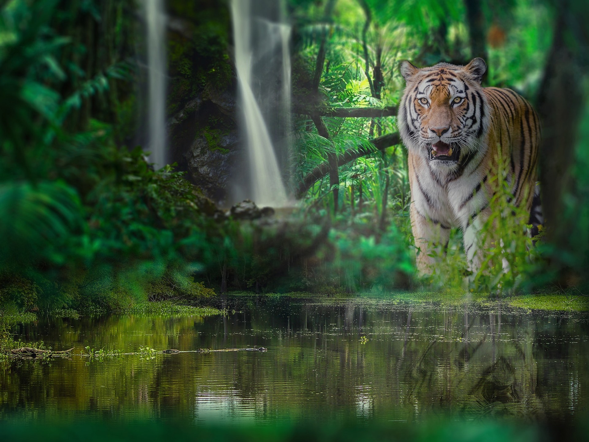 Booking Dhikala Adventure