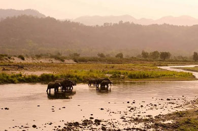 Jim Corbett Dhikala Zone